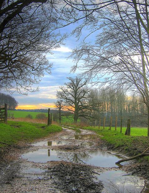 Mystery Puddle Probed