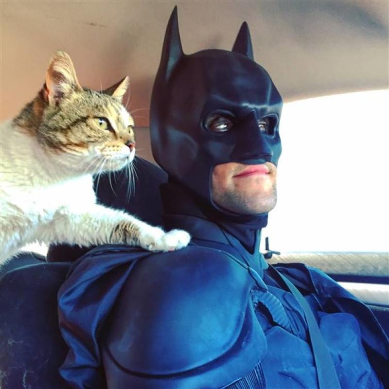 Man Dressed As Batman Rescues Shelter Dogs