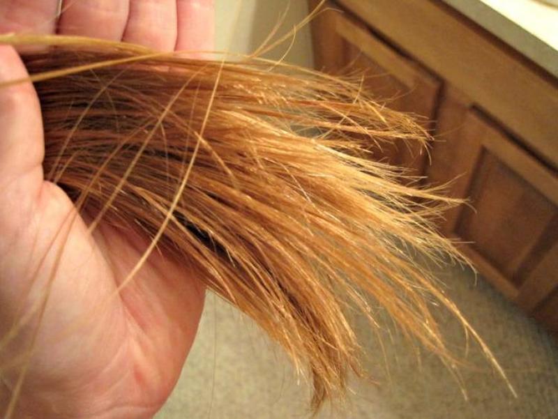 Секущиеся волосы у мужчин фото