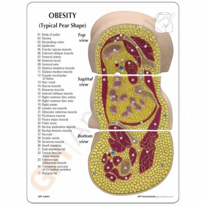 There Are 6 Different Types of Body Fat And Here's How to Manage Them